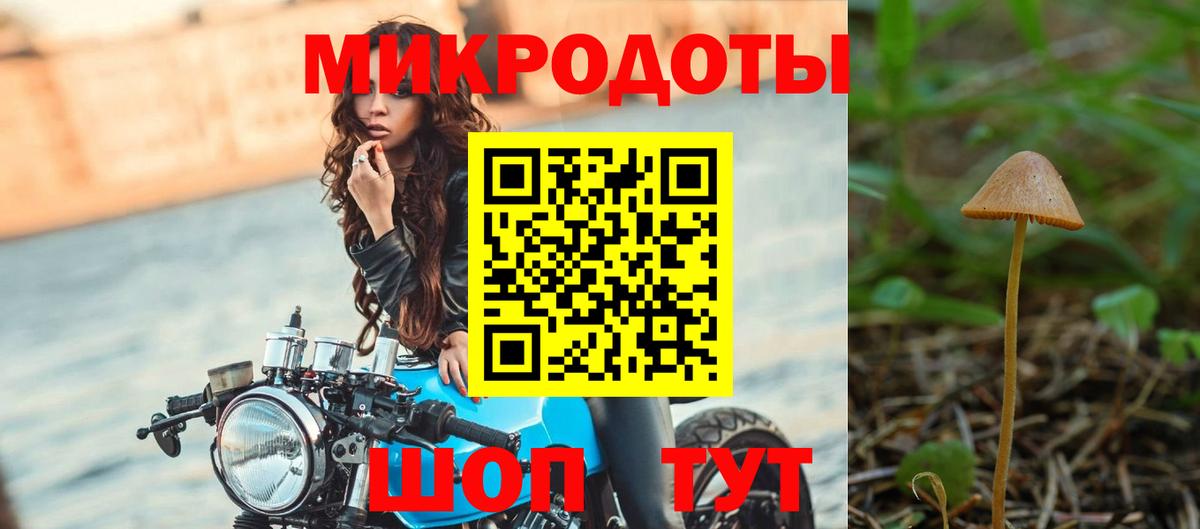 Псилоцибиновые грибы Psilocybine cubensis  Вход с VPN  Новочебоксарск  Псилоцибиновые грибы ЛСД 